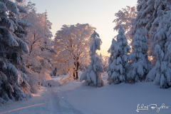 Beskydy_01