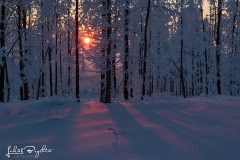 Beskydy_04