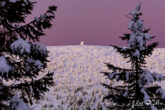 Krkonoše_06