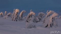 Krkonoše_08