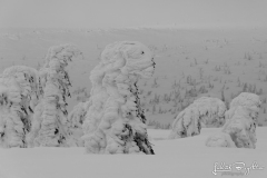 Krkonoše_09