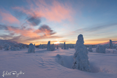 Krkonoše_04